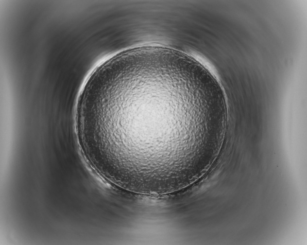 X0000087061104200704181253