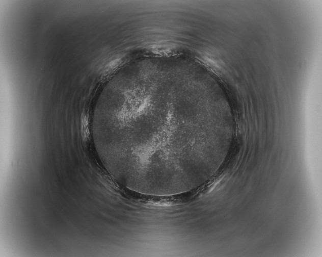 X0000087061106200704181252