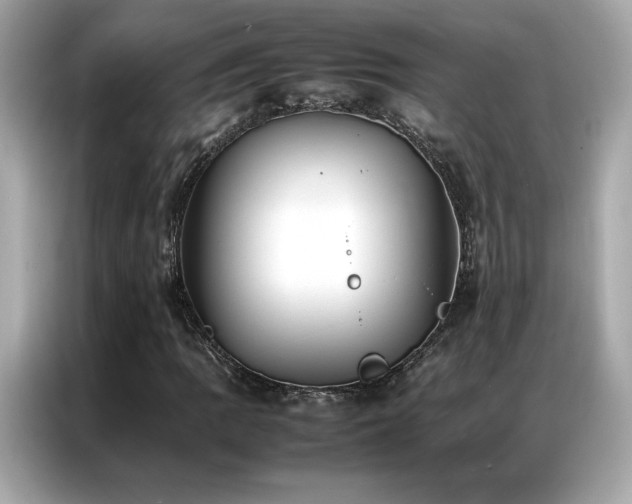 X0000087061109200704181252