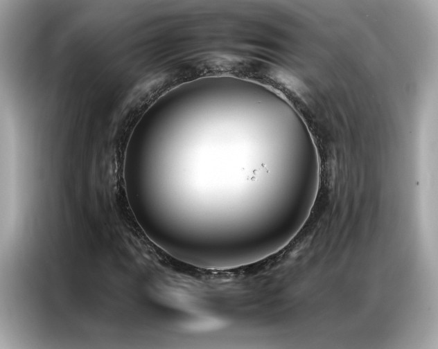 X0000087061111200704181252