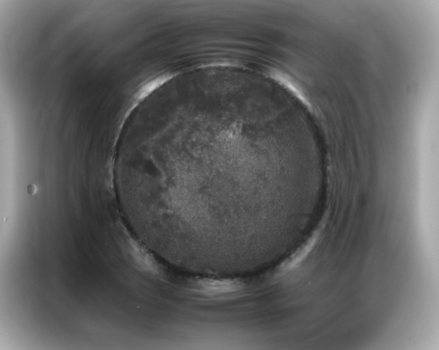 X0000087061121200704181252