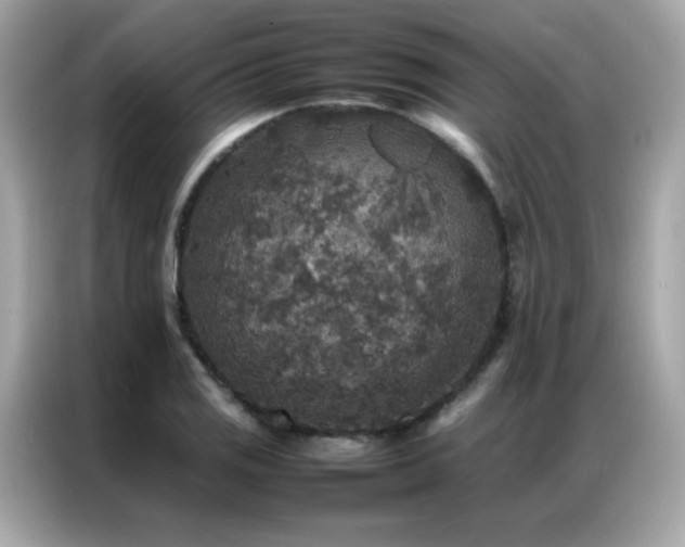 X0000087061125200704181252