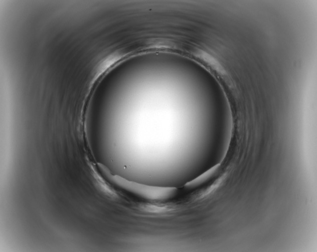 X0000087061129200704181252