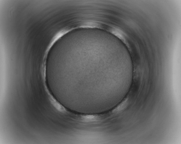 X0000087061130200704181252