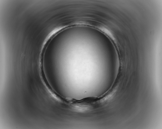 X0000087061133200704181252