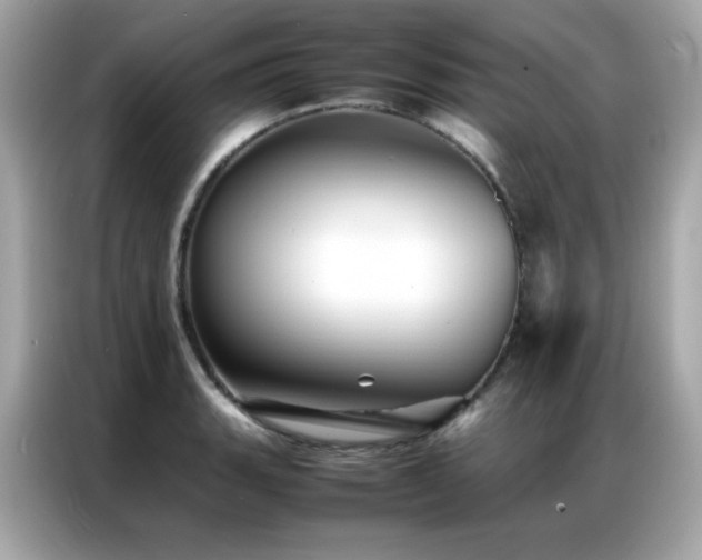 X0000087061135200704181253