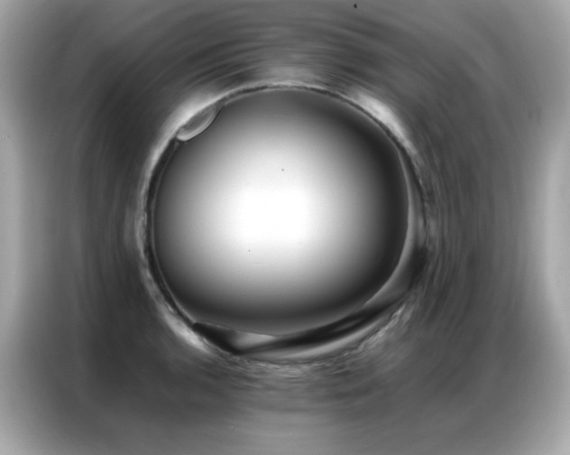 X0000087061136200704181253