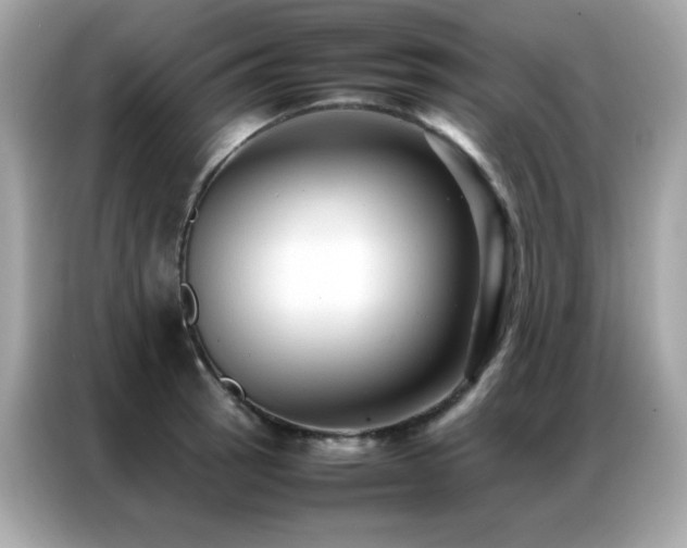 X0000087061137200704181253