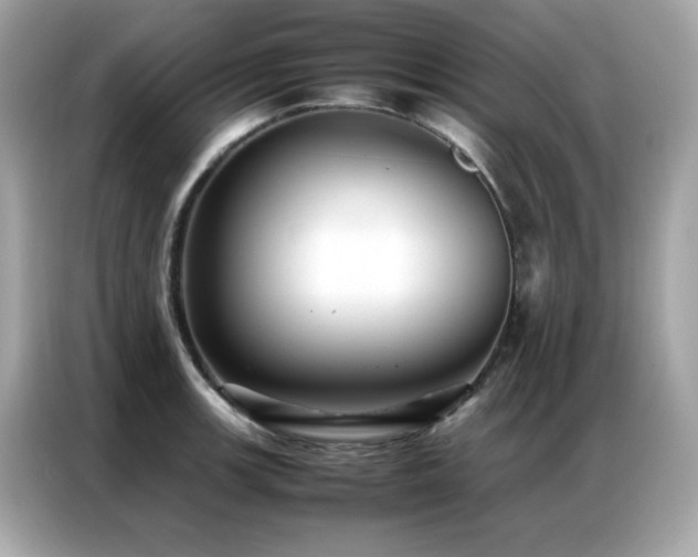 X0000087061139200704181253