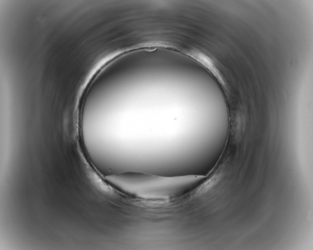 X0000087061140200704181253