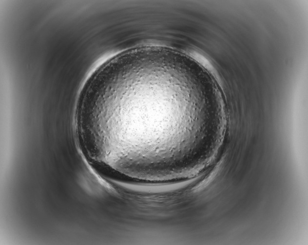 X0000087061141200704181253