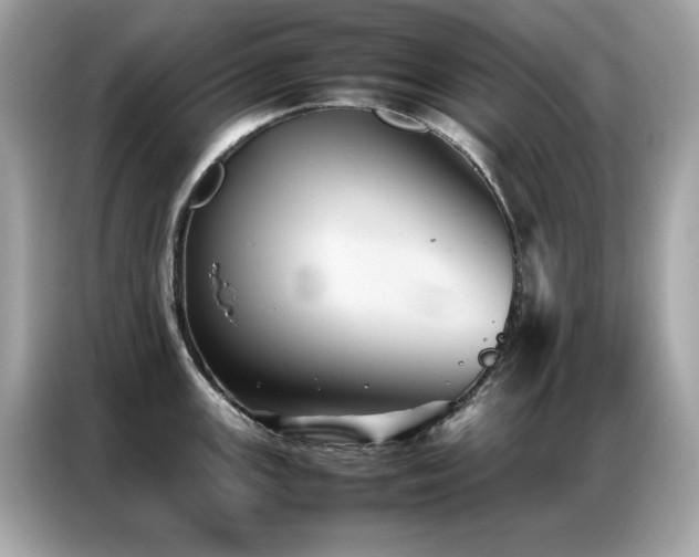 X0000087061147200704181253