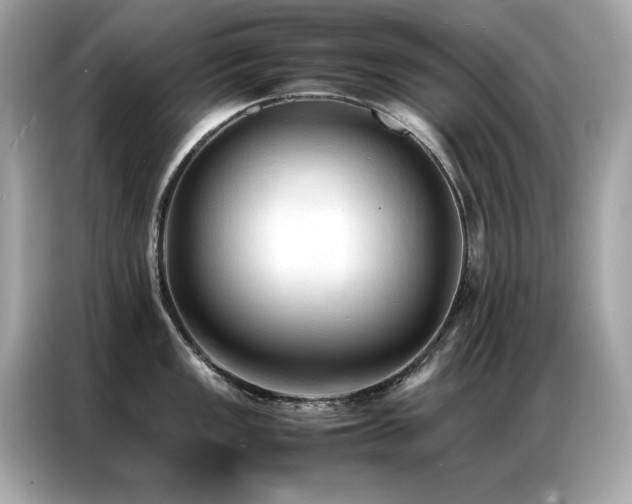 X0000087061149200704181253