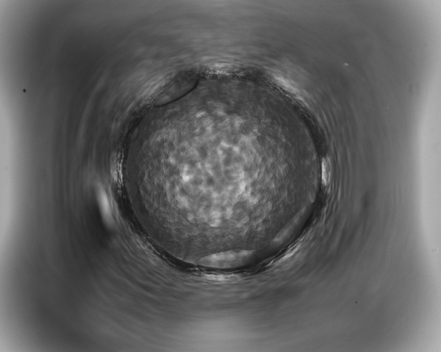 X0000087061155200704181252