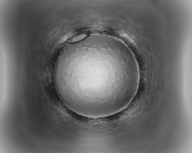 X0000087061159200704181252