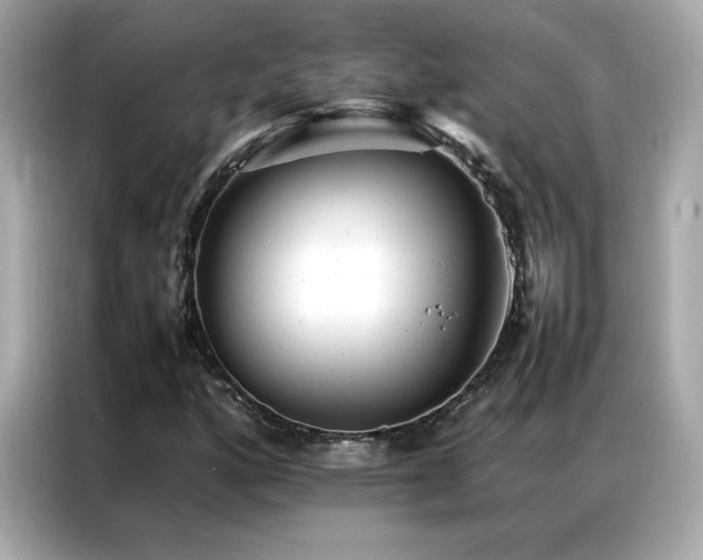 X0000087061160200704181252