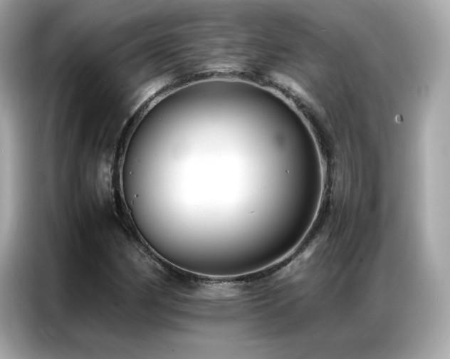 X0000087061162200704181252