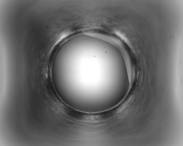X0000087061165200704181252