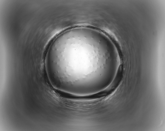 X0000087061167200704181252