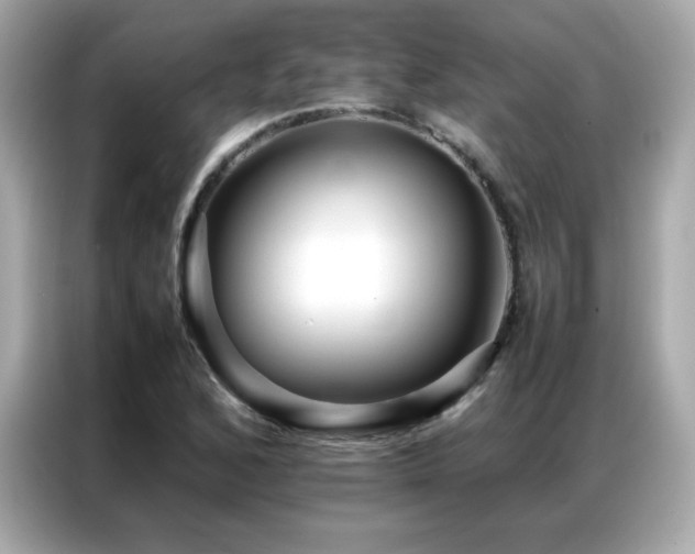 X0000087061168200704181252