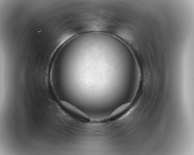 X0000087061170200704181252
