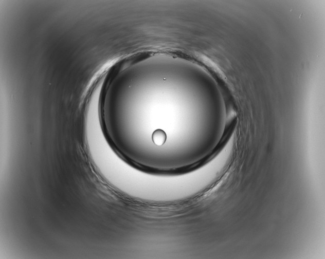 X0000087061171200704181252