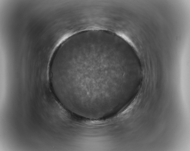 X0000087061173200704181252