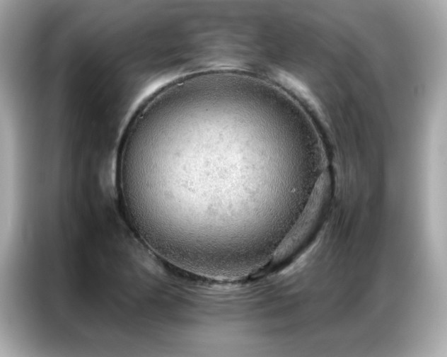 X0000087061174200704181252