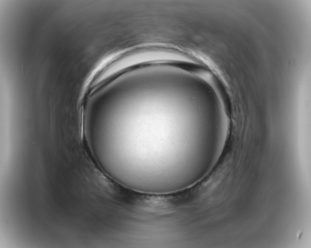 X0000087061175200704181252
