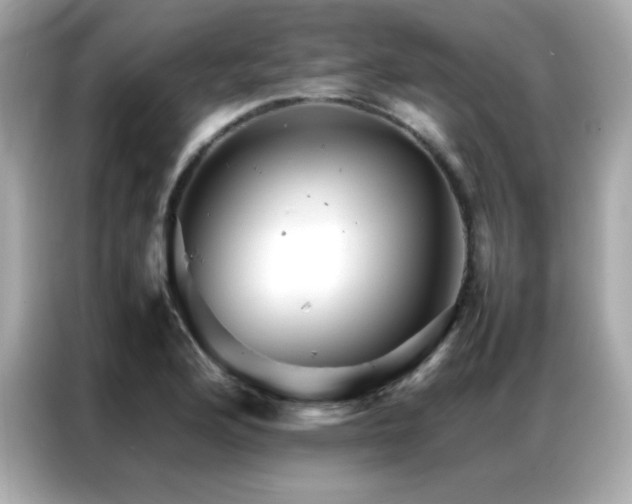 X0000087061176200704181252