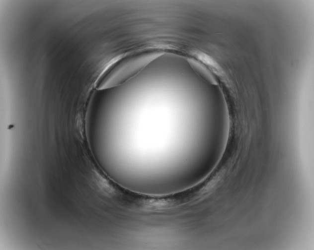 X0000087061177200704181252