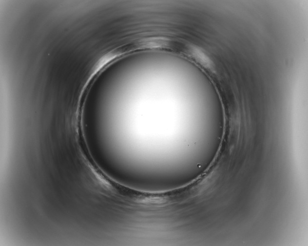 X0000087061178200704181252