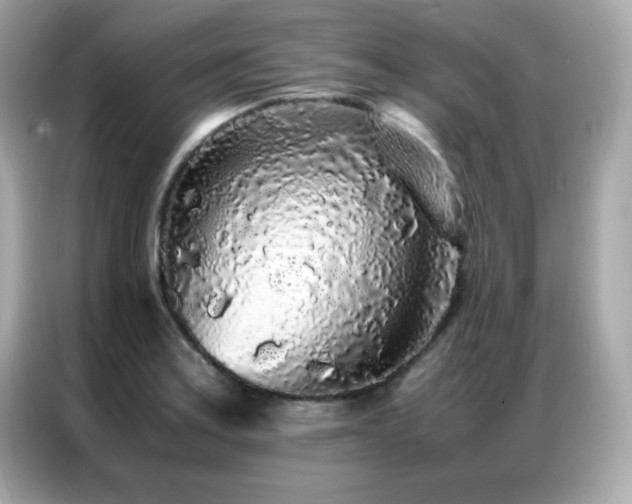 X0000087061179200704181252