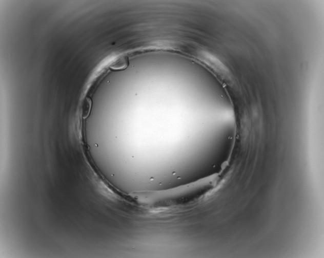 X0000087061180200704181252