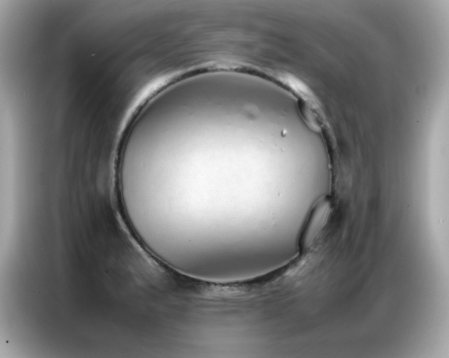 X0000087061183200704181252