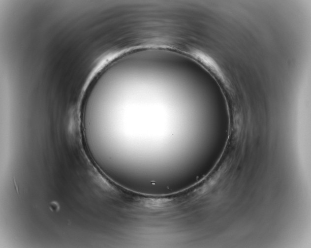 X0000087061184200704181252