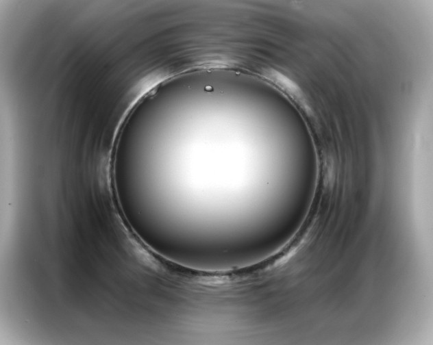X0000087061186200704181252