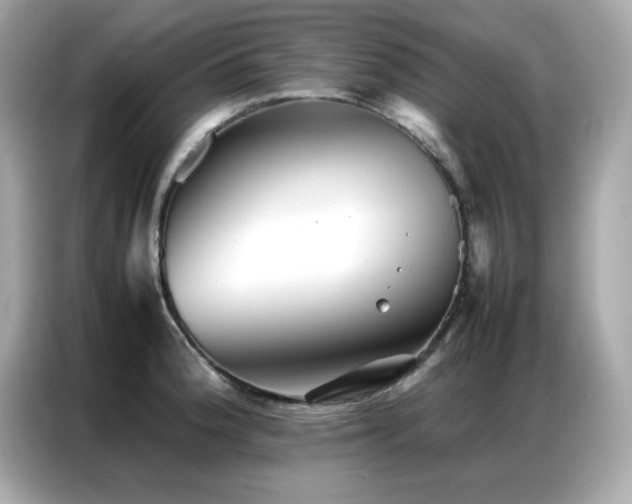 X0000087061188200704181252