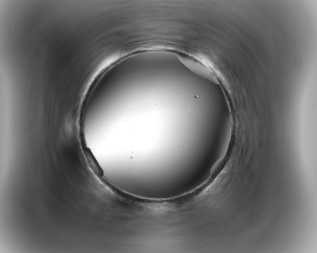 X0000087061189200704181252
