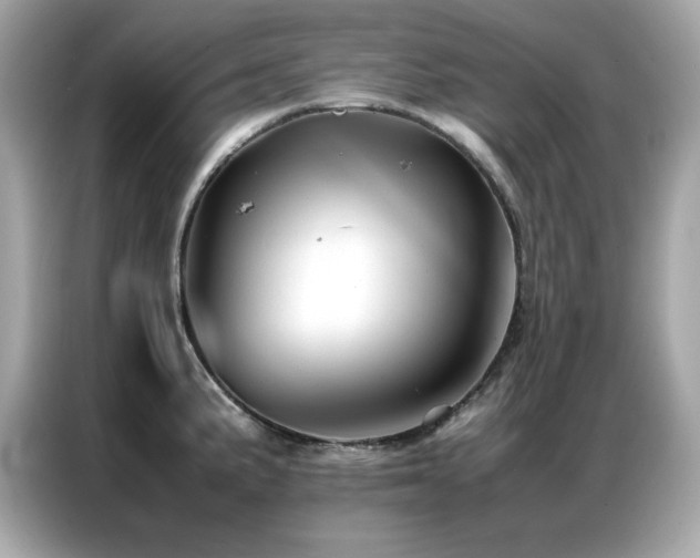 X0000087061191200704181252