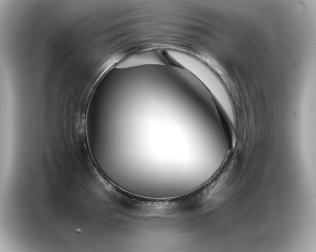 X0000087061193200704181252