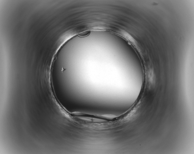 X0000087061194200704181252