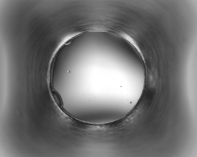 X0000087061195200704181252