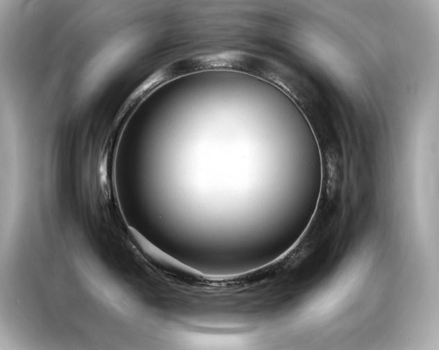 X0000087061198200704181251
