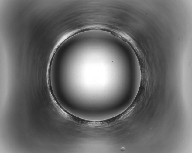X0000087061199200704181251