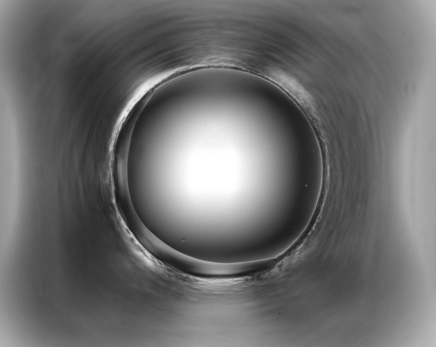 X0000087061200200704181251