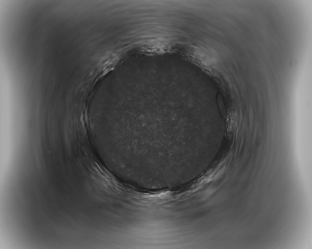 X0000087061202200704181251