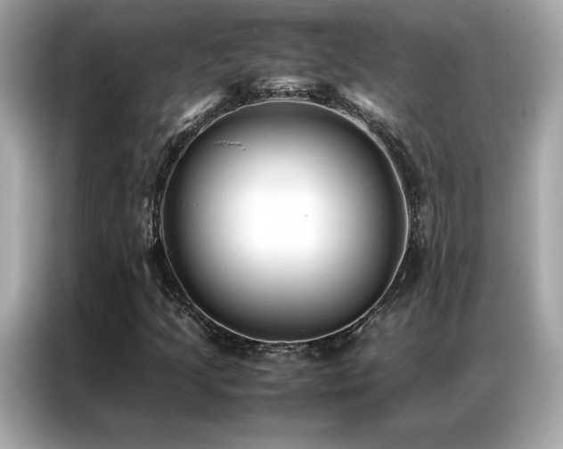 X0000087061205200704181251