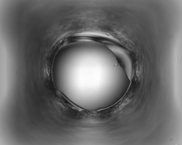 X0000087061206200704181251