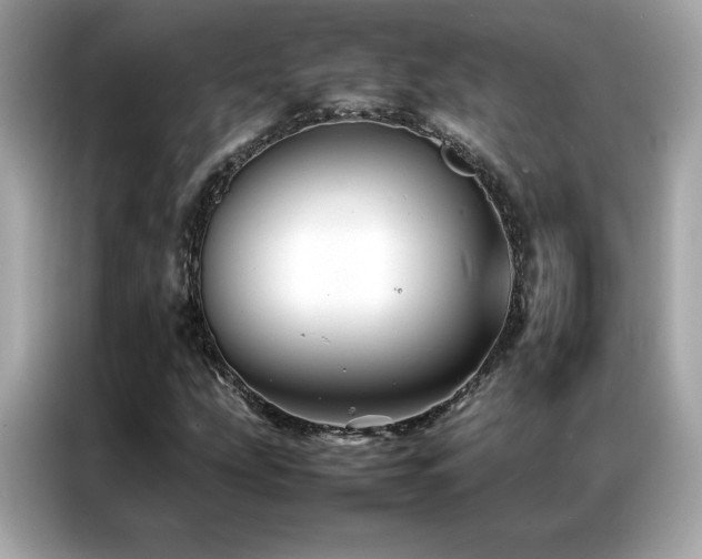 X0000087061207200704181251